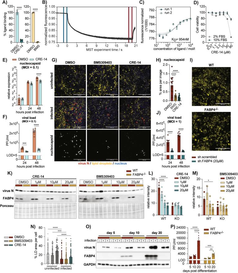 https://cdn.ncbi.nlm.nih.gov/pmc/blobs/c7dd/11904229/f35d8d1de9b1/44321_2024_188_Fig8_ESM.jpg