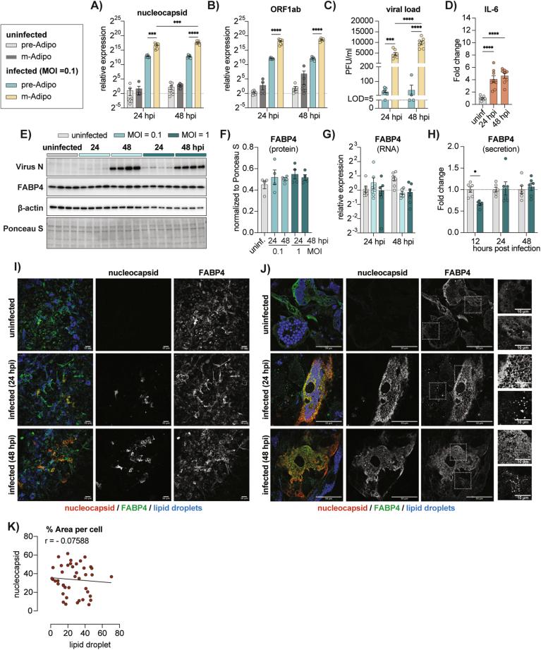 https://cdn.ncbi.nlm.nih.gov/pmc/blobs/c7dd/11904229/fbe2f48a955e/44321_2024_188_Fig7_ESM.jpg