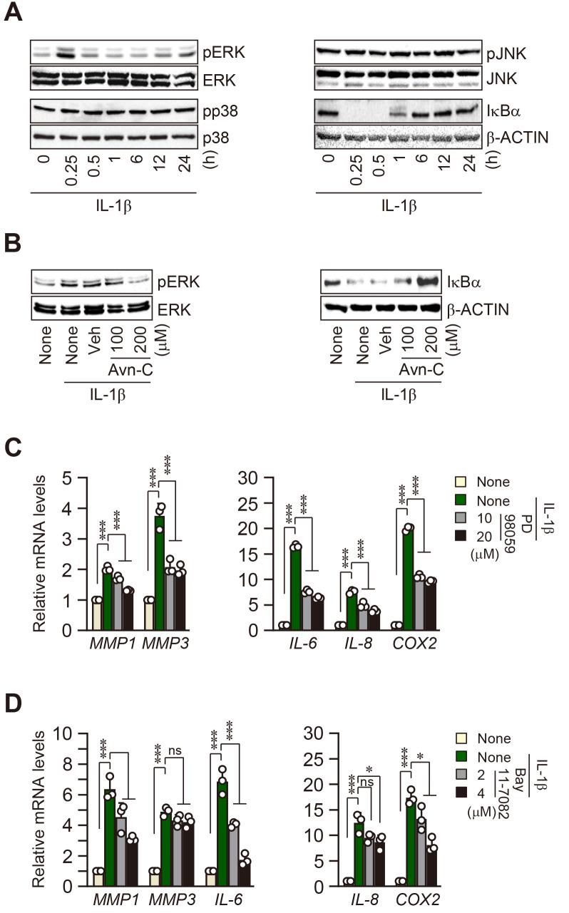 https://cdn.ncbi.nlm.nih.gov/pmc/blobs/c7e0/10590710/19981c351129/molce-46-10-627-f3.jpg