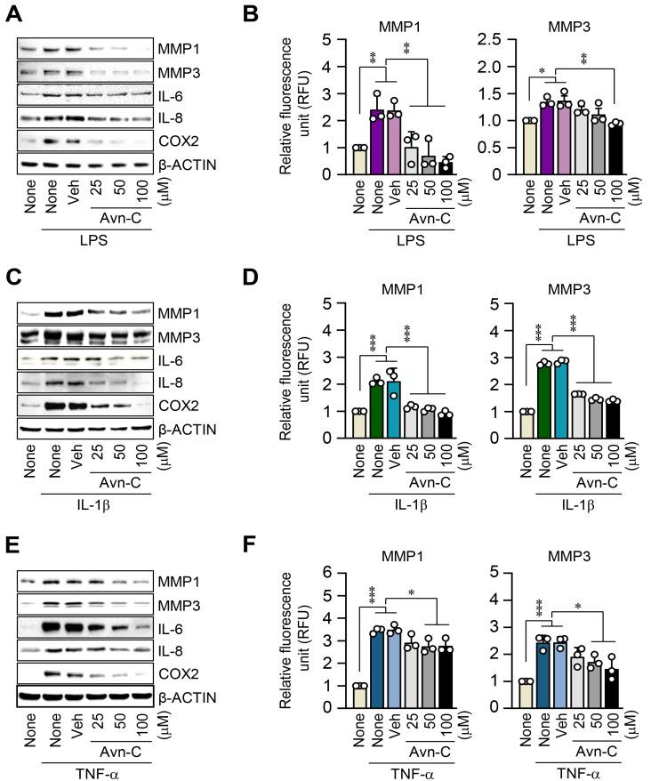 https://cdn.ncbi.nlm.nih.gov/pmc/blobs/c7e0/10590710/51de95274bd0/molce-46-10-627-f2.jpg