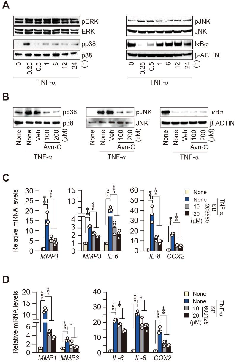 https://cdn.ncbi.nlm.nih.gov/pmc/blobs/c7e0/10590710/9c9f7a75b866/molce-46-10-627-f4.jpg