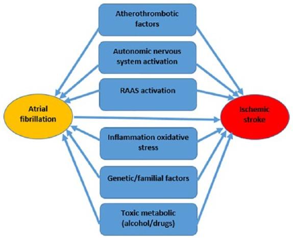 https://cdn.ncbi.nlm.nih.gov/pmc/blobs/c7e0/6460885/26eada7246be/10.1177_1756286419842698-fig3.jpg