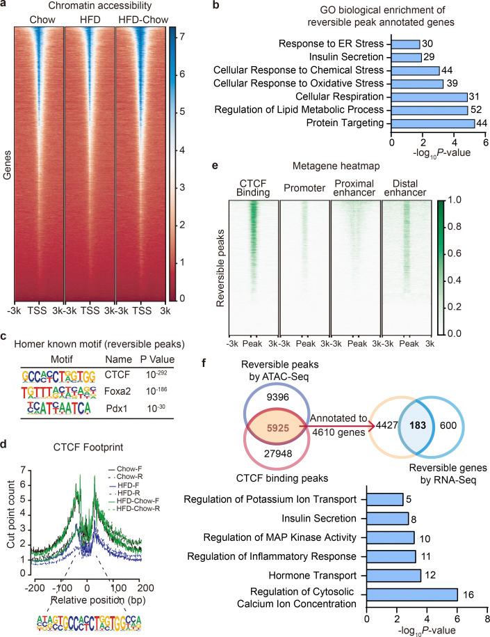 https://cdn.ncbi.nlm.nih.gov/pmc/blobs/c7e1/9166293/022af4d2467f/JEM_20211779_Fig4.jpg