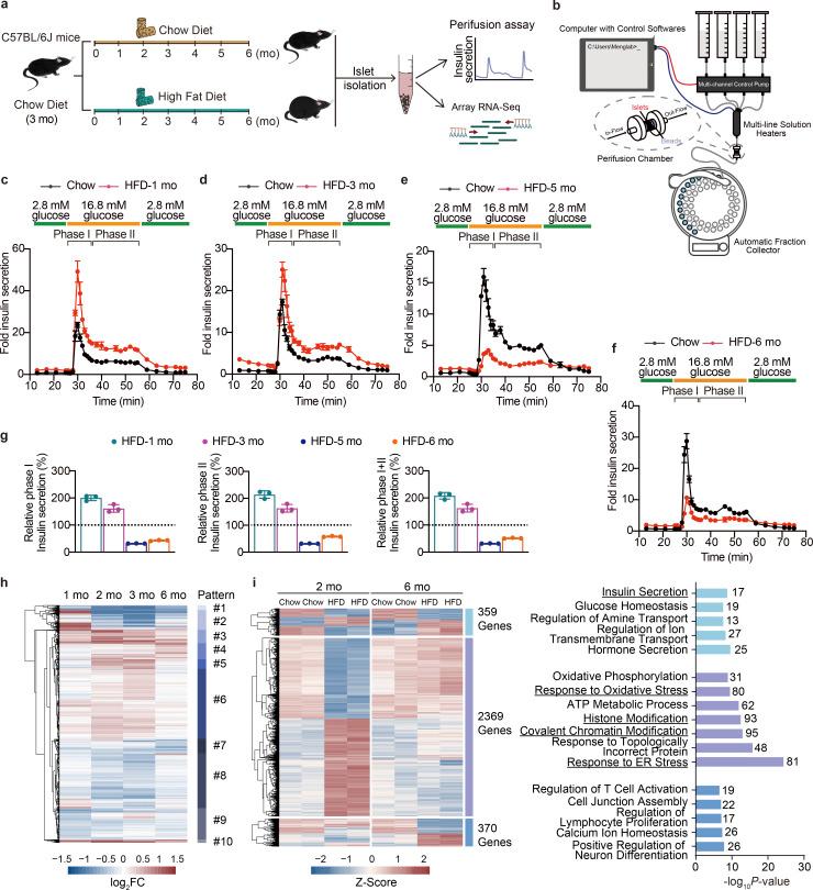 https://cdn.ncbi.nlm.nih.gov/pmc/blobs/c7e1/9166293/0ff7f3138a07/JEM_20211779_Fig1.jpg
