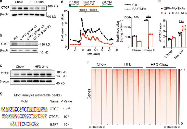 https://cdn.ncbi.nlm.nih.gov/pmc/blobs/c7e1/9166293/5280c43ac508/JEM_20211779_FigS5.jpg