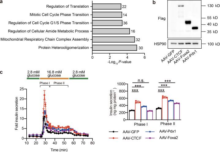 https://cdn.ncbi.nlm.nih.gov/pmc/blobs/c7e1/9166293/909cf81b7acb/JEM_20211779_FigS4.jpg