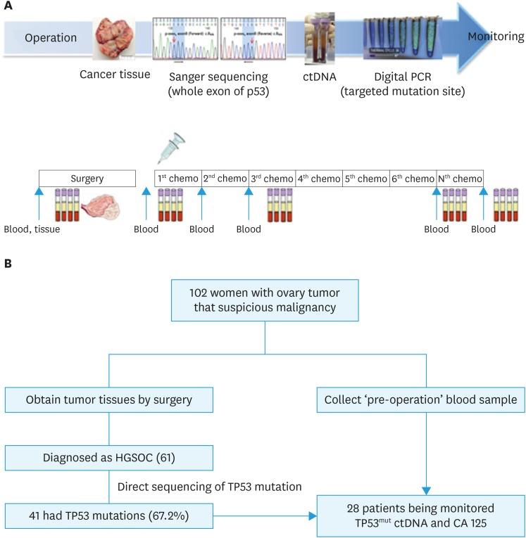 https://cdn.ncbi.nlm.nih.gov/pmc/blobs/c7e5/6424844/5a2e391b7576/jgo-30-e32-g001.jpg