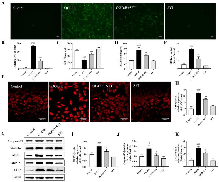 https://cdn.ncbi.nlm.nih.gov/pmc/blobs/c7e8/11359820/5244d9863fc6/pharmaceuticals-17-01058-g006.jpg