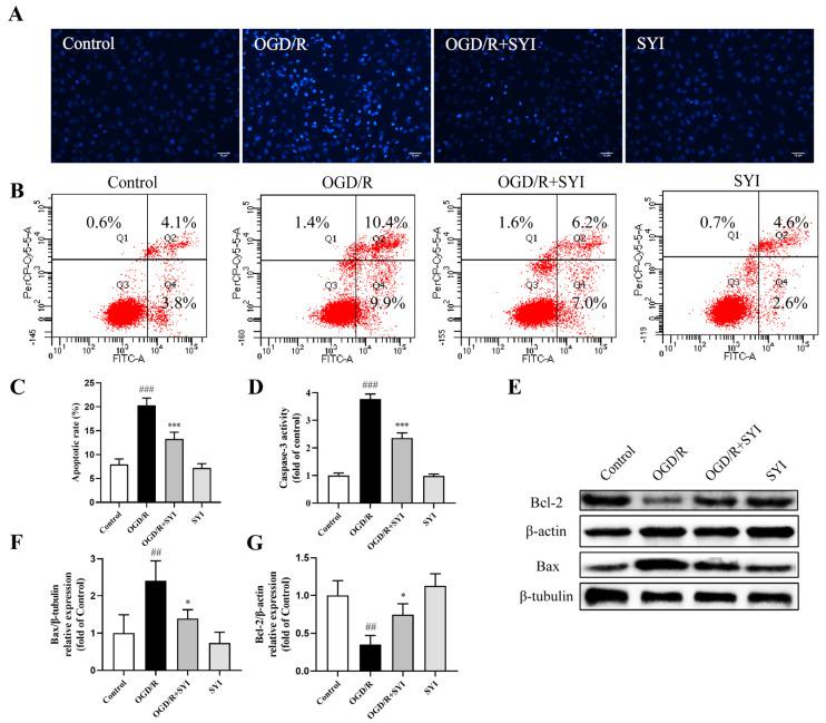 https://cdn.ncbi.nlm.nih.gov/pmc/blobs/c7e8/11359820/66d80a102d2e/pharmaceuticals-17-01058-g005.jpg