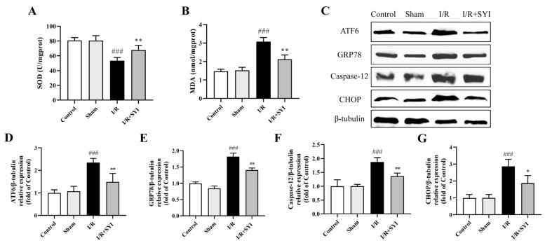 https://cdn.ncbi.nlm.nih.gov/pmc/blobs/c7e8/11359820/86ea8cd490e0/pharmaceuticals-17-01058-g003.jpg