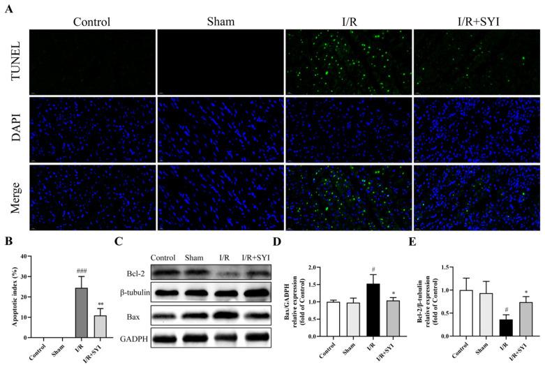 https://cdn.ncbi.nlm.nih.gov/pmc/blobs/c7e8/11359820/d7acb2d0383a/pharmaceuticals-17-01058-g002.jpg
