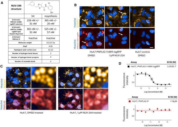 https://cdn.ncbi.nlm.nih.gov/pmc/blobs/c7e8/12049818/1a4cc363b3d2/gr2.jpg