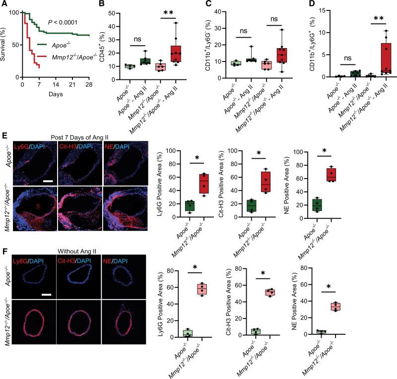 https://cdn.ncbi.nlm.nih.gov/pmc/blobs/c7e8/9930896/4aacfe14ce01/res-132-432-g001.jpg