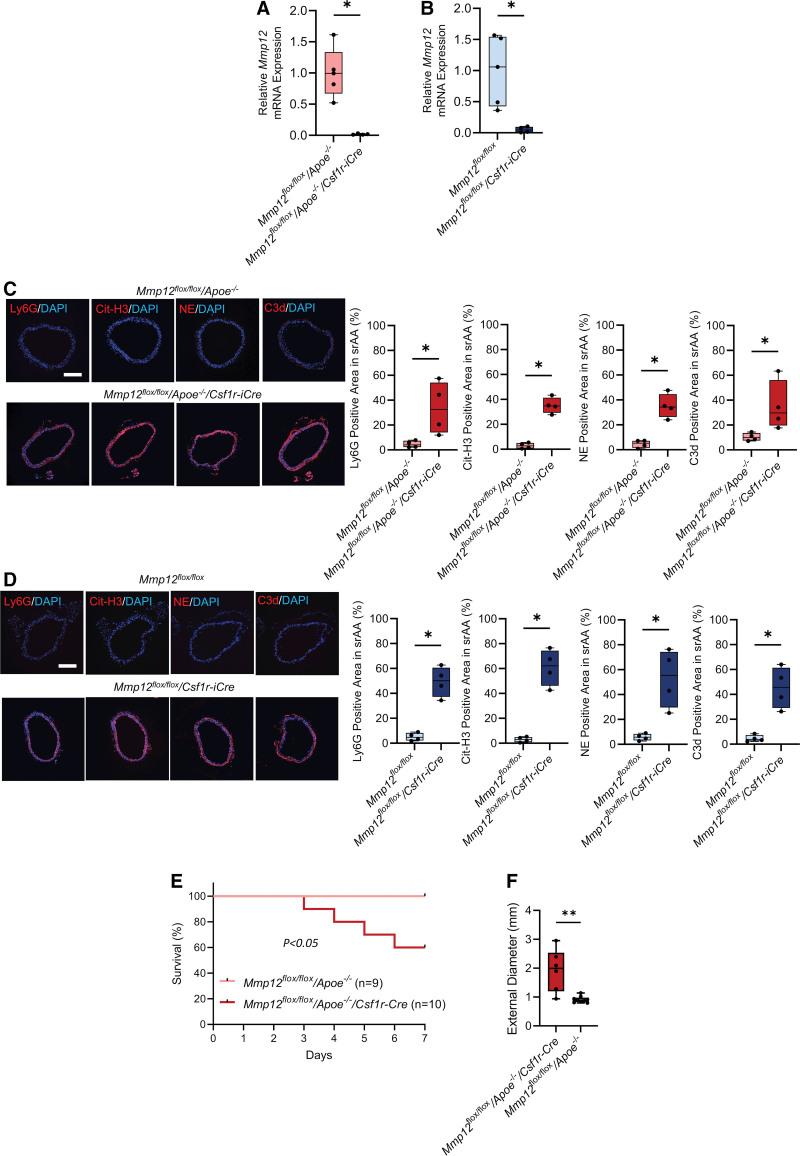 https://cdn.ncbi.nlm.nih.gov/pmc/blobs/c7e8/9930896/97ec132993ba/res-132-432-g006.jpg