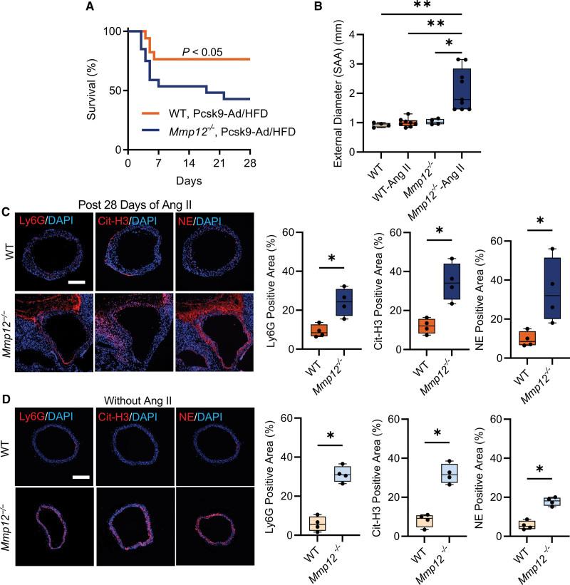 https://cdn.ncbi.nlm.nih.gov/pmc/blobs/c7e8/9930896/d63c6933814d/res-132-432-g002.jpg