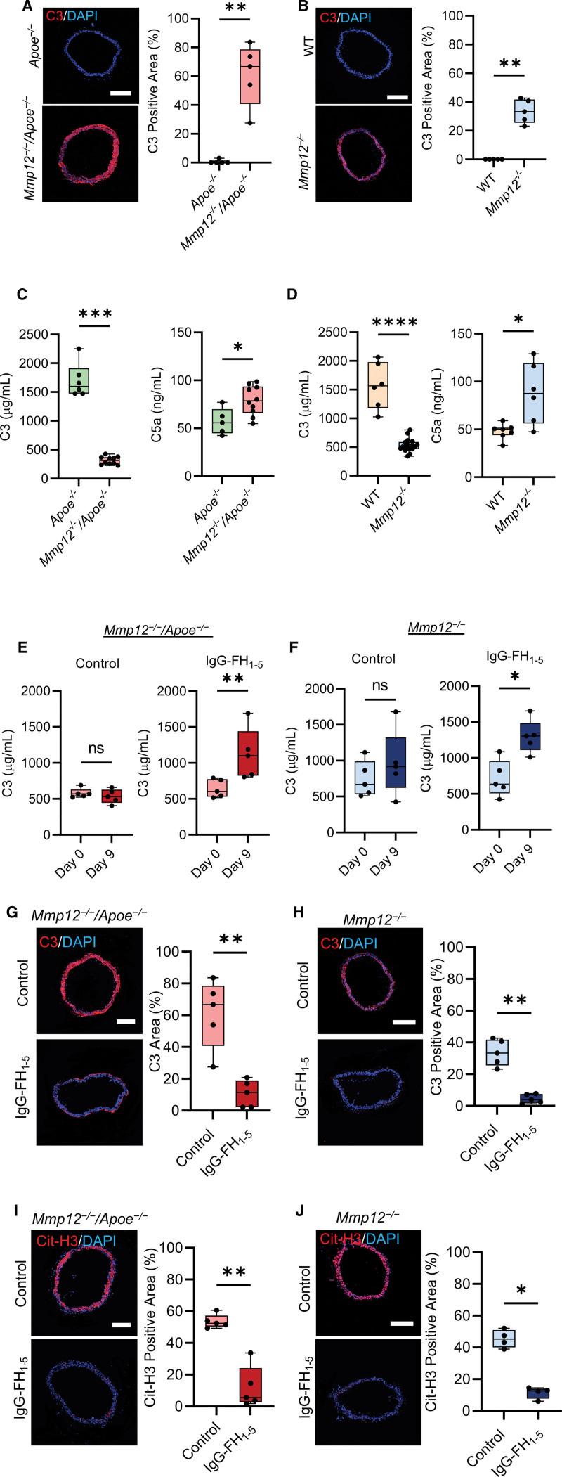 https://cdn.ncbi.nlm.nih.gov/pmc/blobs/c7e8/9930896/ed1836a25702/res-132-432-g004.jpg