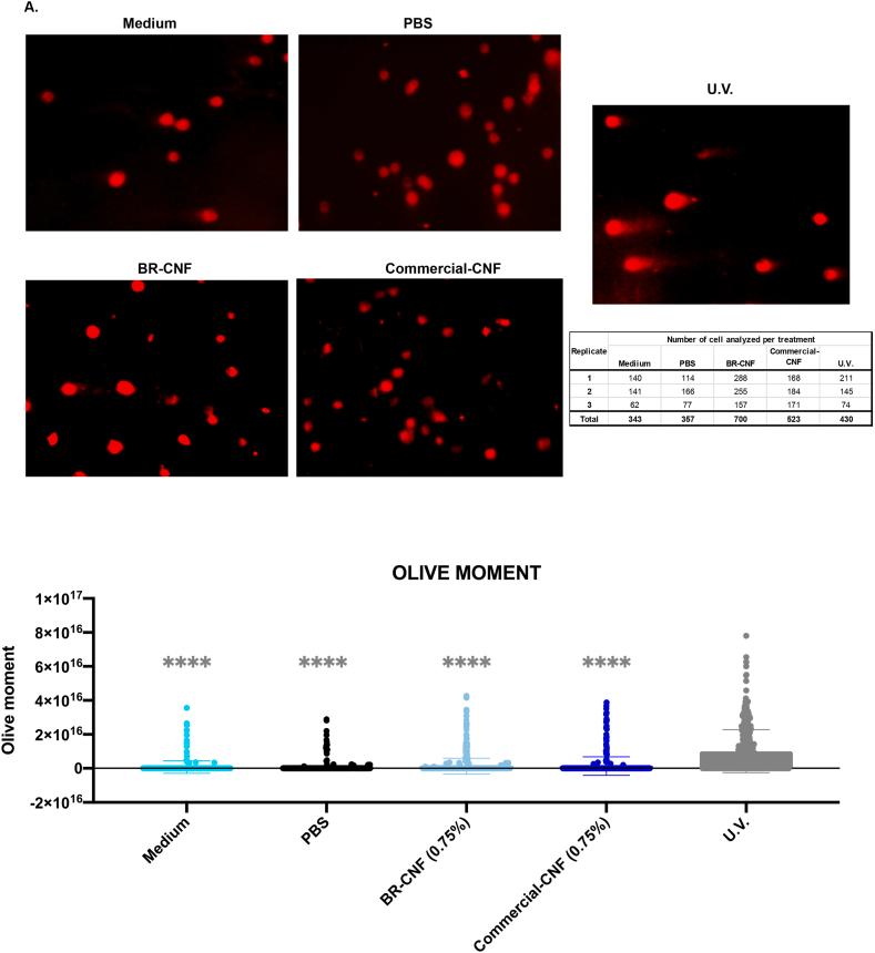 https://cdn.ncbi.nlm.nih.gov/pmc/blobs/c7e9/10632726/3bf793931b25/gr2.jpg