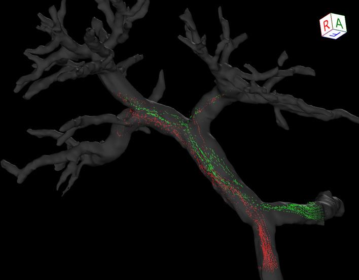https://cdn.ncbi.nlm.nih.gov/pmc/blobs/c7e9/9587937/17a6a7e070e2/11547_2022_1553_Fig5_HTML.jpg