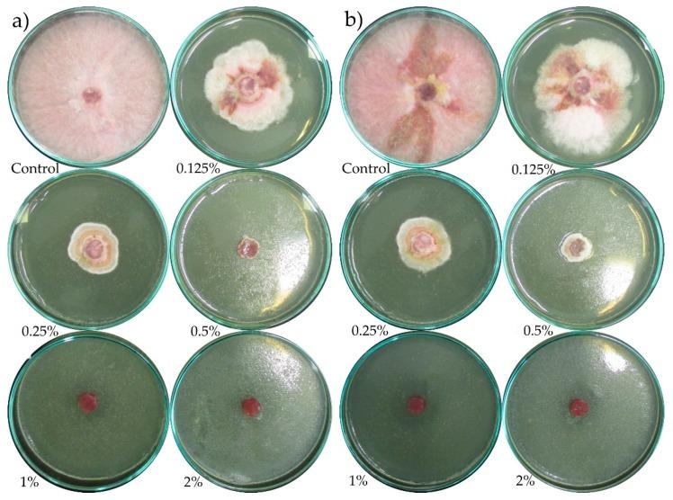 https://cdn.ncbi.nlm.nih.gov/pmc/blobs/c7ea/6359302/4438c957312e/molecules-24-00311-g0A8.jpg