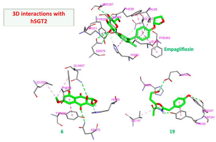 https://cdn.ncbi.nlm.nih.gov/pmc/blobs/c7ea/9968060/b29c672fecc0/molecules-28-01718-g017.jpg
