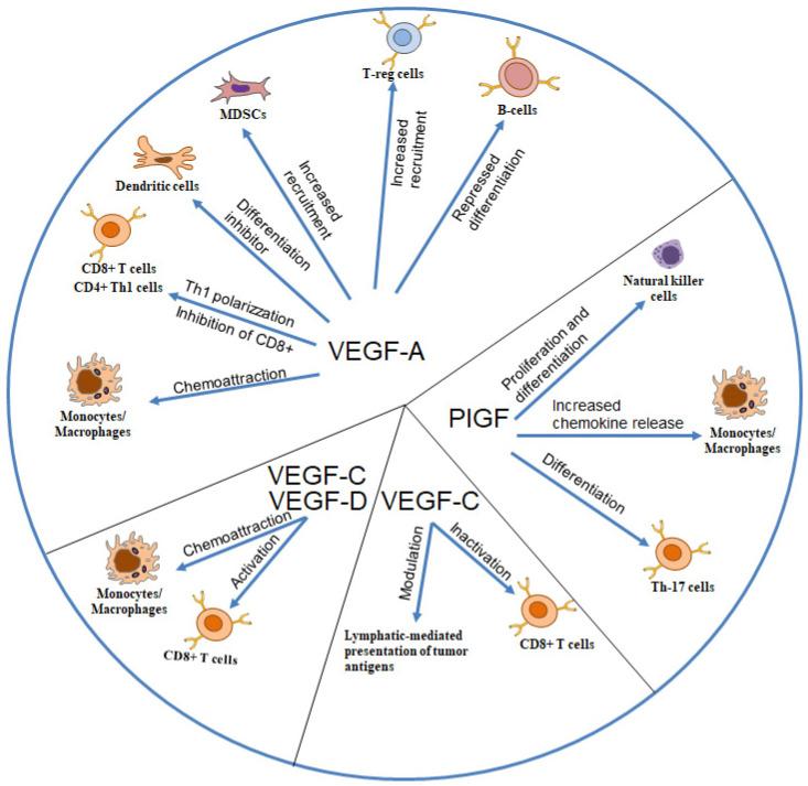 https://cdn.ncbi.nlm.nih.gov/pmc/blobs/c7eb/11763294/617b9e67f3cb/biomedicines-13-00006-g001.jpg