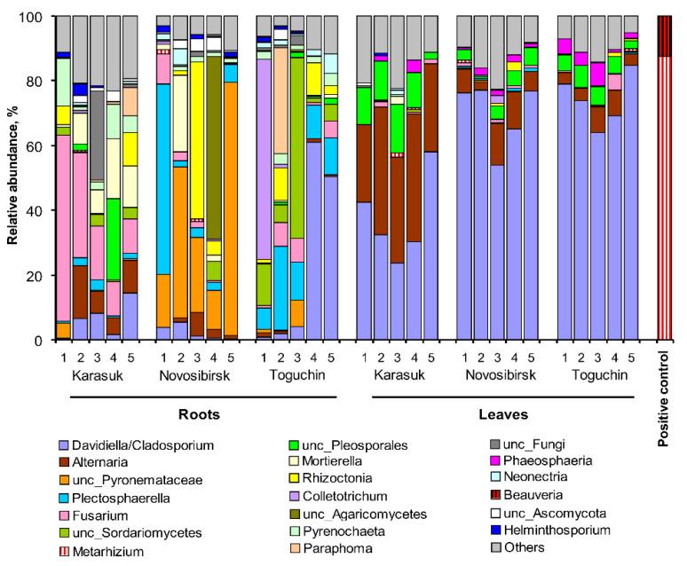 https://cdn.ncbi.nlm.nih.gov/pmc/blobs/c7eb/8306205/01673cffd85d/microorganisms-09-01373-g003.jpg