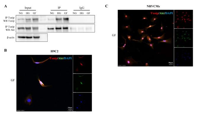 https://cdn.ncbi.nlm.nih.gov/pmc/blobs/c7ed/11370038/32b95cac0a13/12872_2024_4134_Fig4_HTML.jpg
