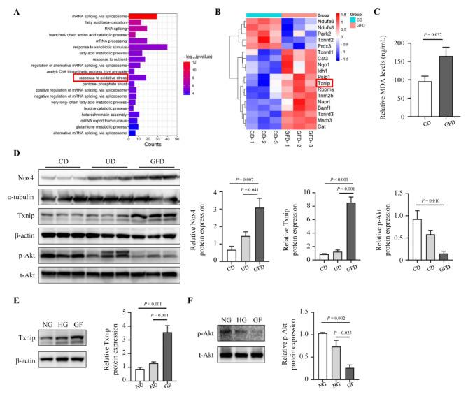 https://cdn.ncbi.nlm.nih.gov/pmc/blobs/c7ed/11370038/9335dcc53ae9/12872_2024_4134_Fig3_HTML.jpg