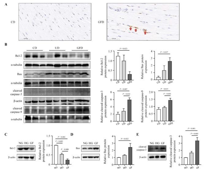 https://cdn.ncbi.nlm.nih.gov/pmc/blobs/c7ed/11370038/a303fdcf6ed8/12872_2024_4134_Fig2_HTML.jpg