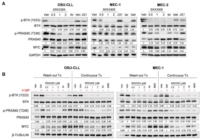 https://cdn.ncbi.nlm.nih.gov/pmc/blobs/c7ed/9224275/192ed9241069/ijms-23-06712-g002.jpg