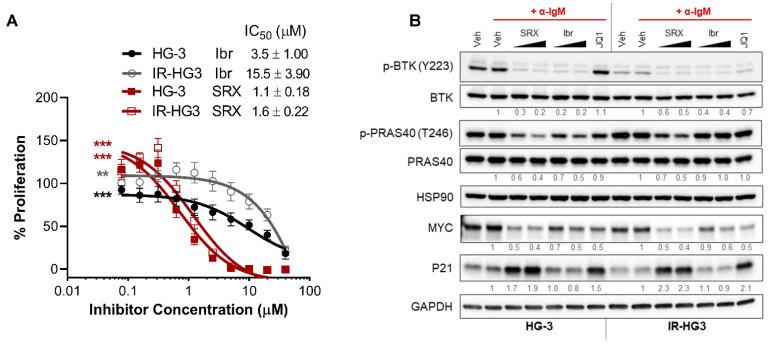 https://cdn.ncbi.nlm.nih.gov/pmc/blobs/c7ed/9224275/382824105f9c/ijms-23-06712-g005.jpg
