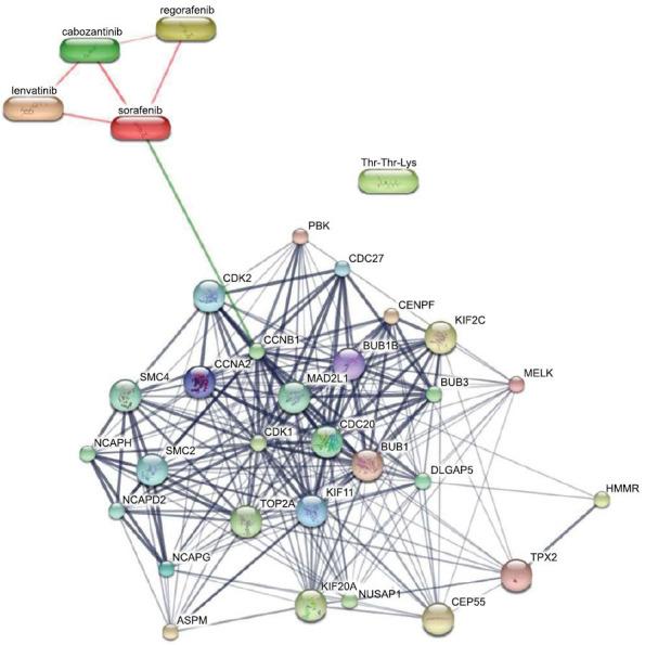 https://cdn.ncbi.nlm.nih.gov/pmc/blobs/c7ee/11793067/88f316a52dde/CG-26-1-48_F9.jpg