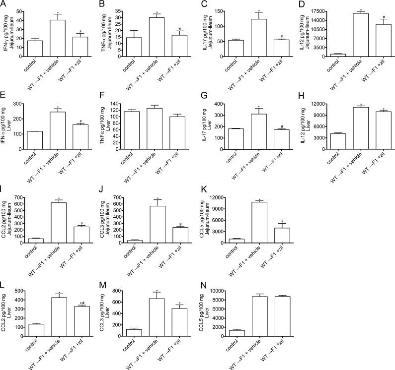 https://cdn.ncbi.nlm.nih.gov/pmc/blobs/c7ee/5679175/aff35b9f062b/JEM_20170261_Fig6.jpg