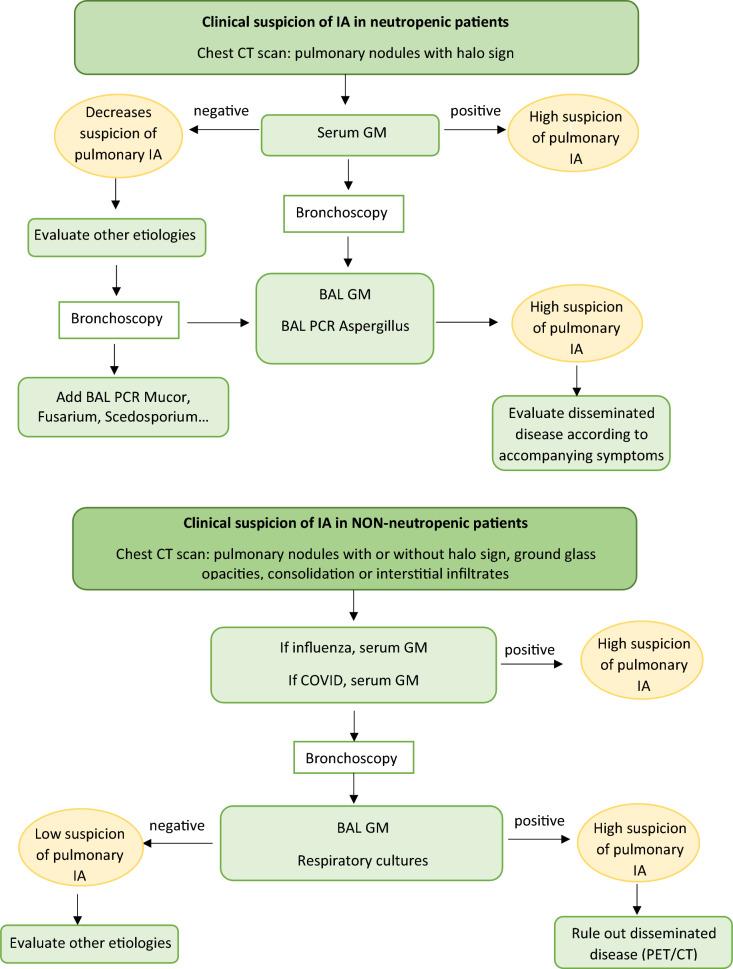 https://cdn.ncbi.nlm.nih.gov/pmc/blobs/c7ef/12032692/b886439d6a3a/12941_2025_794_Fig4_HTML.jpg