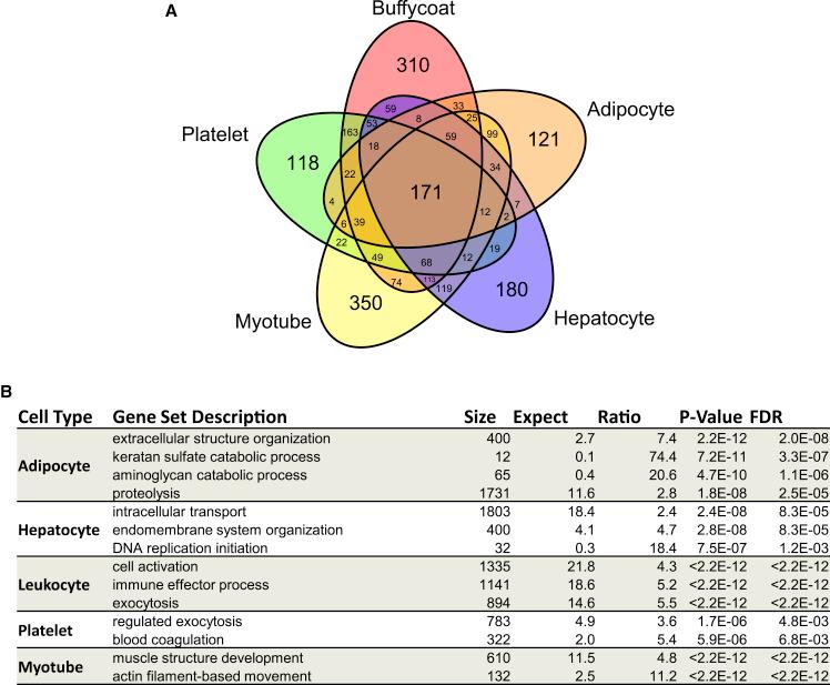 https://cdn.ncbi.nlm.nih.gov/pmc/blobs/c7f3/9017165/1d02683763a9/gr4.jpg