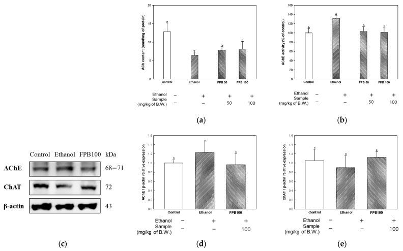 https://cdn.ncbi.nlm.nih.gov/pmc/blobs/c7f4/10931926/588215ee2471/ijms-25-02629-g004.jpg