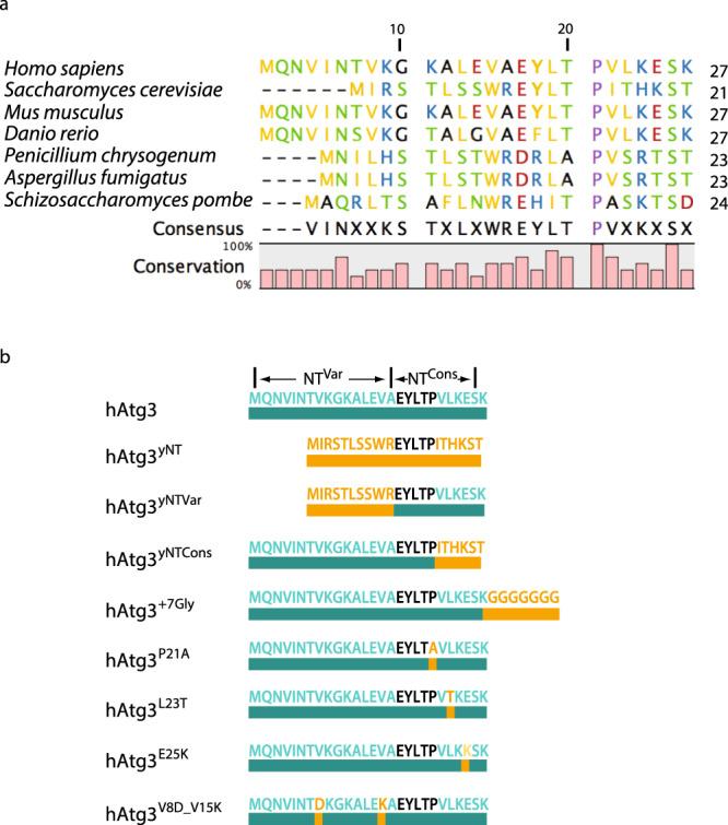 https://cdn.ncbi.nlm.nih.gov/pmc/blobs/c7f5/7809043/d5a21561aac4/41467_2020_20607_Fig1_HTML.jpg