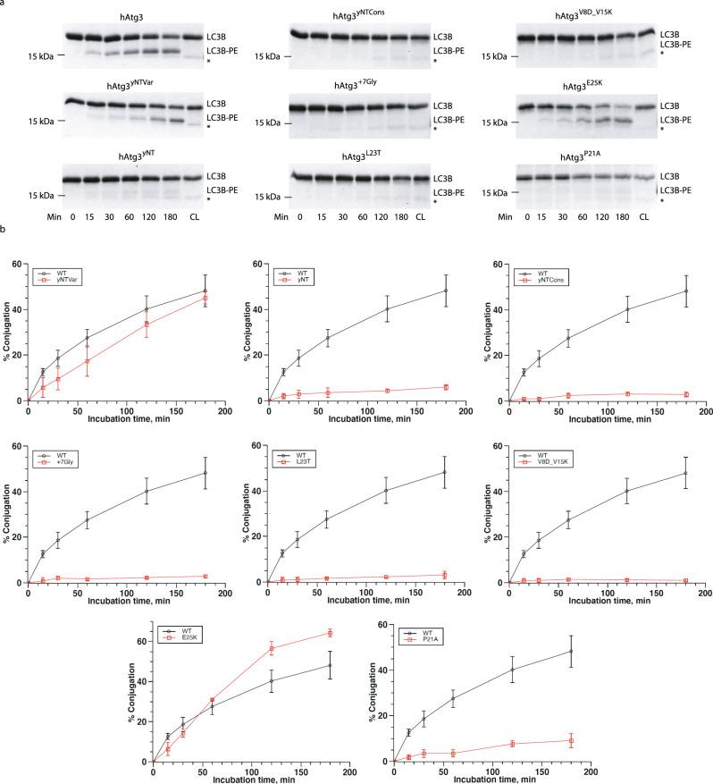 https://cdn.ncbi.nlm.nih.gov/pmc/blobs/c7f5/7809043/d84a5a491efd/41467_2020_20607_Fig3_HTML.jpg