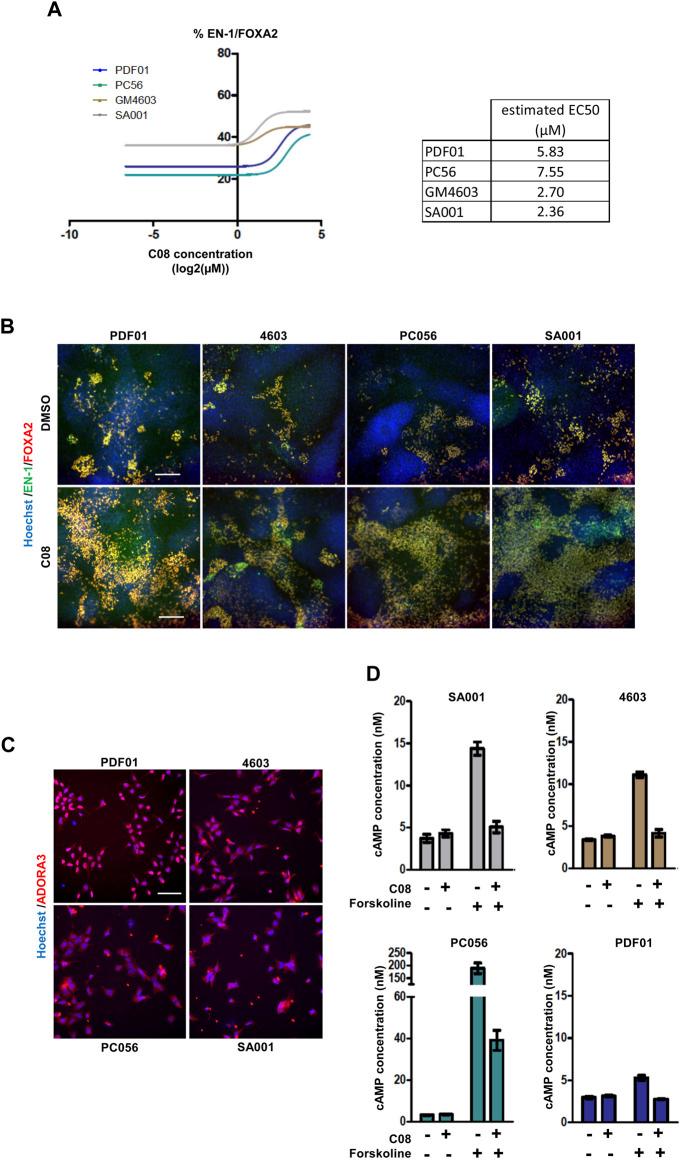 https://cdn.ncbi.nlm.nih.gov/pmc/blobs/c7f6/10331426/56f44e98edba/fphar-14-1152180-g003.jpg