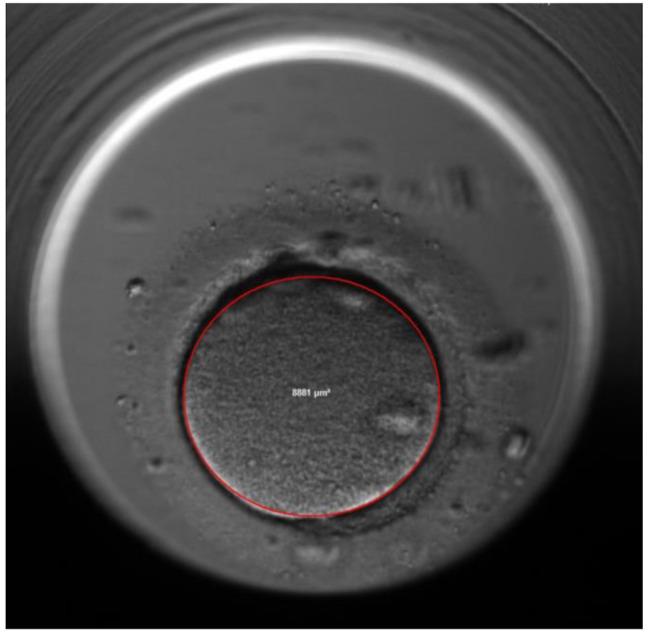 https://cdn.ncbi.nlm.nih.gov/pmc/blobs/c7f6/10538025/418553d267bb/12884_2023_6025_Fig4_HTML.jpg
