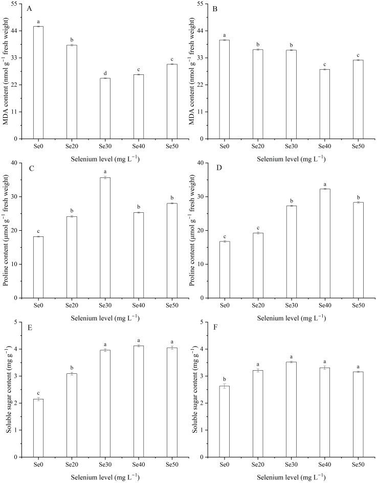 https://cdn.ncbi.nlm.nih.gov/pmc/blobs/c7f6/12202544/37d0baff8b84/fpls-16-1600173-g002.jpg