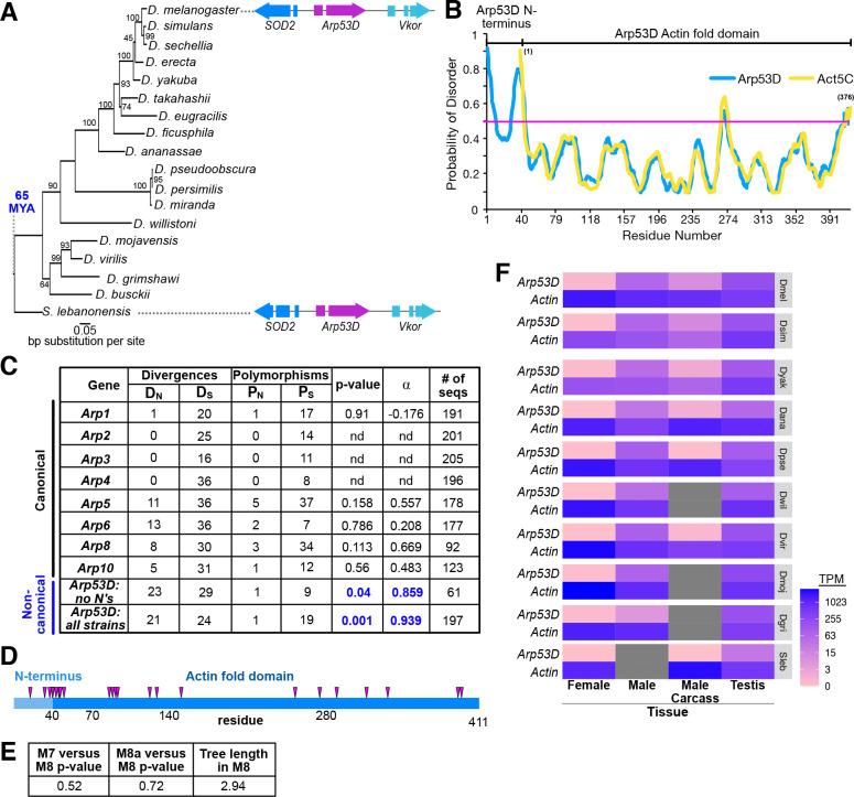 https://cdn.ncbi.nlm.nih.gov/pmc/blobs/c7f6/8291977/beed827bdd8b/elife-71279-fig1-figsupp1.jpg