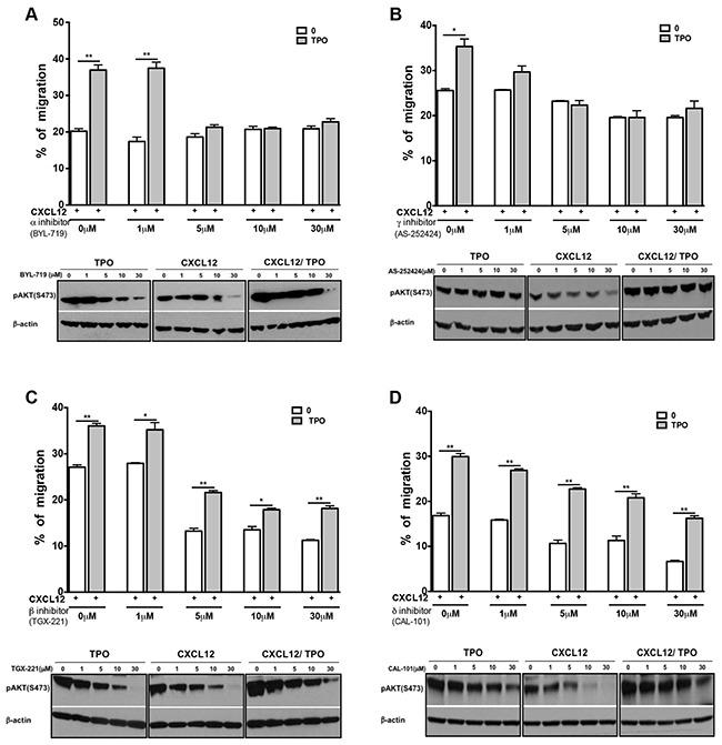 https://cdn.ncbi.nlm.nih.gov/pmc/blobs/c7f7/5589564/40ff3b017bf0/oncotarget-08-54082-g005.jpg