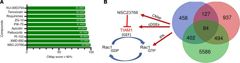https://cdn.ncbi.nlm.nih.gov/pmc/blobs/c7f8/12220968/747fb99cc7b5/jciinsight-10-188062-g133.jpg