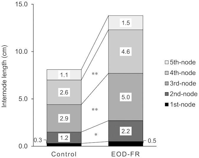 https://cdn.ncbi.nlm.nih.gov/pmc/blobs/c7f8/4672308/cc648adf8436/srep17864-f1.jpg