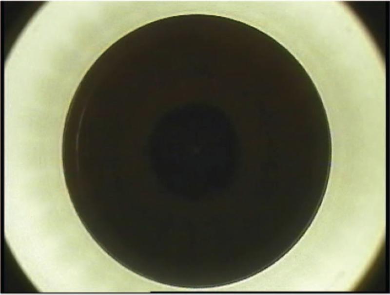 https://cdn.ncbi.nlm.nih.gov/pmc/blobs/c7f9/6784779/5ae421186410/ap9-8-385-g004.jpg