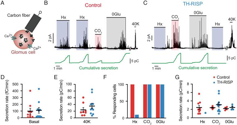 https://cdn.ncbi.nlm.nih.gov/pmc/blobs/c7f9/9522341/806c5adacd55/pnas.2202178119fig02.jpg