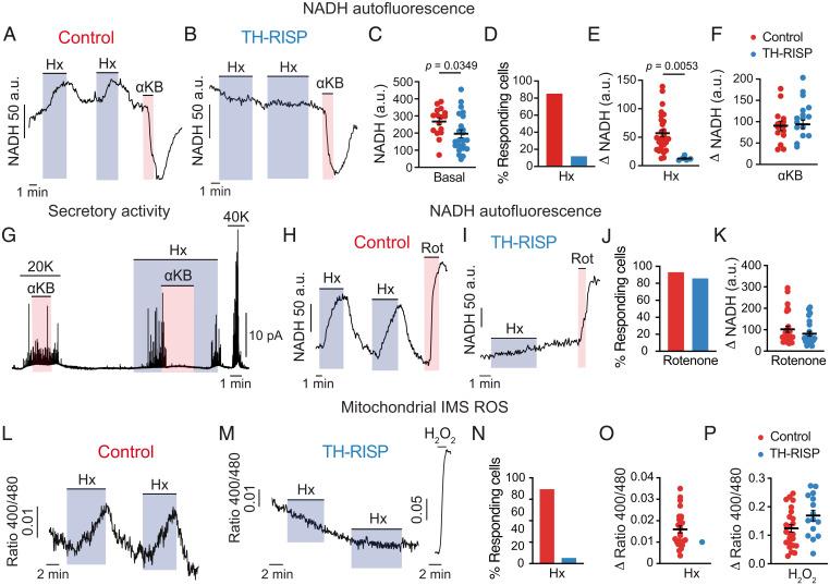 https://cdn.ncbi.nlm.nih.gov/pmc/blobs/c7f9/9522341/992e003d832d/pnas.2202178119fig04.jpg
