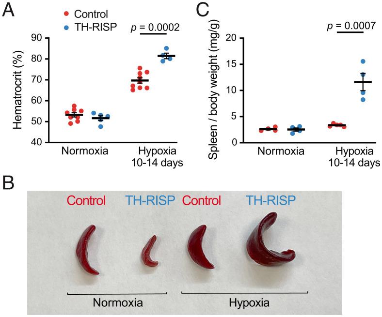 https://cdn.ncbi.nlm.nih.gov/pmc/blobs/c7f9/9522341/bec37c19d1fc/pnas.2202178119fig06.jpg
