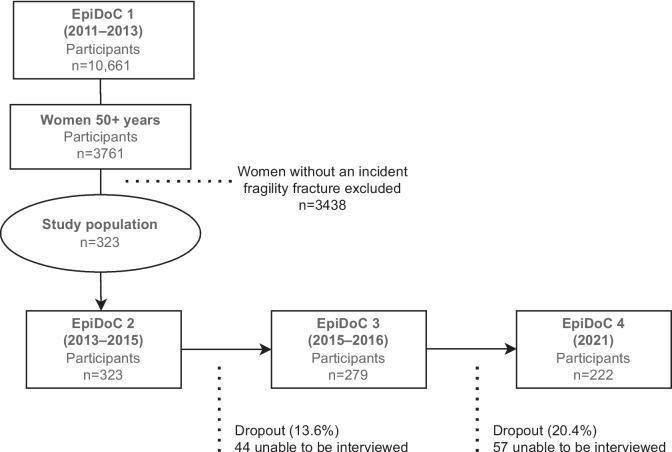 https://cdn.ncbi.nlm.nih.gov/pmc/blobs/c7fa/11579055/e0b026c7bc54/198_2024_7265_Fig1_HTML.jpg